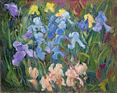 Irises: Pink, Blue and Gold by Timothy Easton